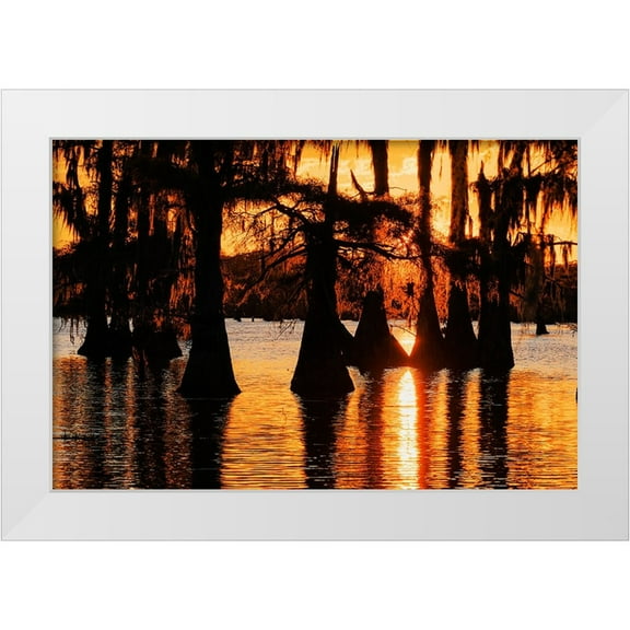 Jones, Adam 14x11 White Modern Wood Framed Museum Art Print Titled - Bald cypress trees silhouetted at sunset Caddo Lake-Uncertain-Texas