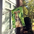 thumbnail image 2 of Carolines Treasures CK1784CHF Shamrocks Welsh Terrier Drapeau Toile Maison Taille, 2 of 4