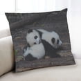 thumbnail image 1 of Ahgly Company Animals Bear Indoor Throw Pillow, 18 inch by 18 inch, 1 of 6