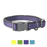 Vibrant Life Reflective Comfort Dog Collar, Purple, Large