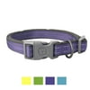 Vibrant Life Metal & Plastic & Nylon Safety Dog Collar, Purple, L