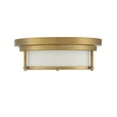 thumbnail image 3 of Trade Winds Lighting 2-Light Ceiling Light In Natural Brass, 3 of 7