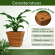 thumbnail image 4 of Maceta Cuadrada Elly Decor 30.5 cm Fibra de Vidrio Marrón con Drenaje Apariencia Madera, 4 of 6