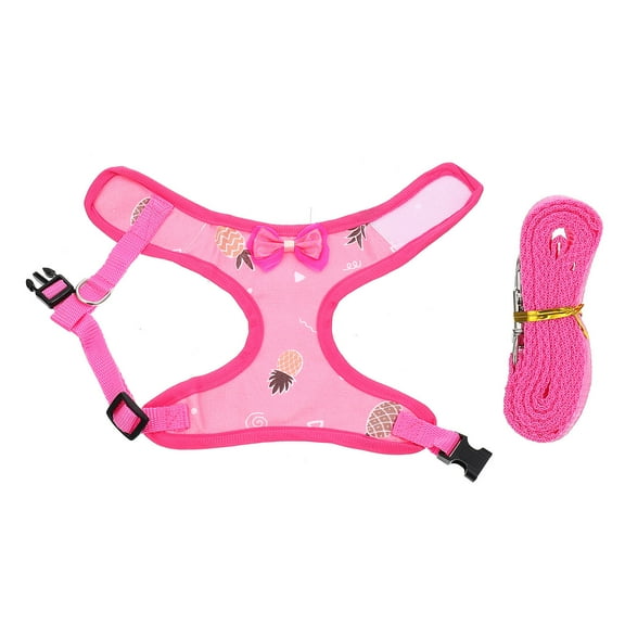 HEMOTON Chicken Leash and Pulling Rope Set for Pets, Hen Walking and Traction Control Accessory