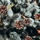 thumbnail image 1 of Piñas naturales para adornos de árbol de Navidad | Piñas con borde blanco para decoraciones navideñas, 1 of 4