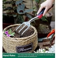 thumbnail image 3 of Juego de herramientas de jardinería, 3 piezas de aluminio con paleta, trasplantador y rastrillo de mano, mango ergonómico cómodo, suave y antideslizante (rojo cereza), 3 of 4