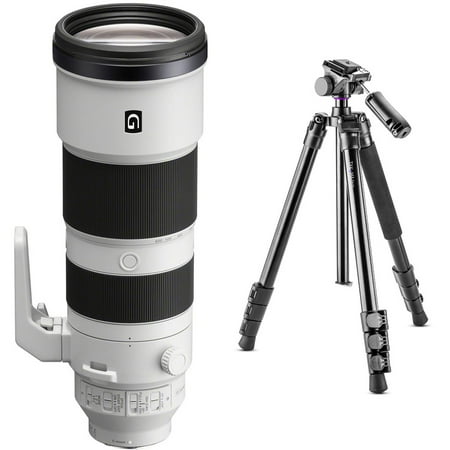 Sony FE 200-600mm f/5.6-6.3 G...