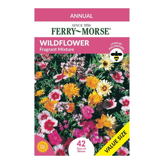 Ferry-Morse Economy 7.5G Wildflower Fragrant Mixture Annual Flower Seeds, Full Sun