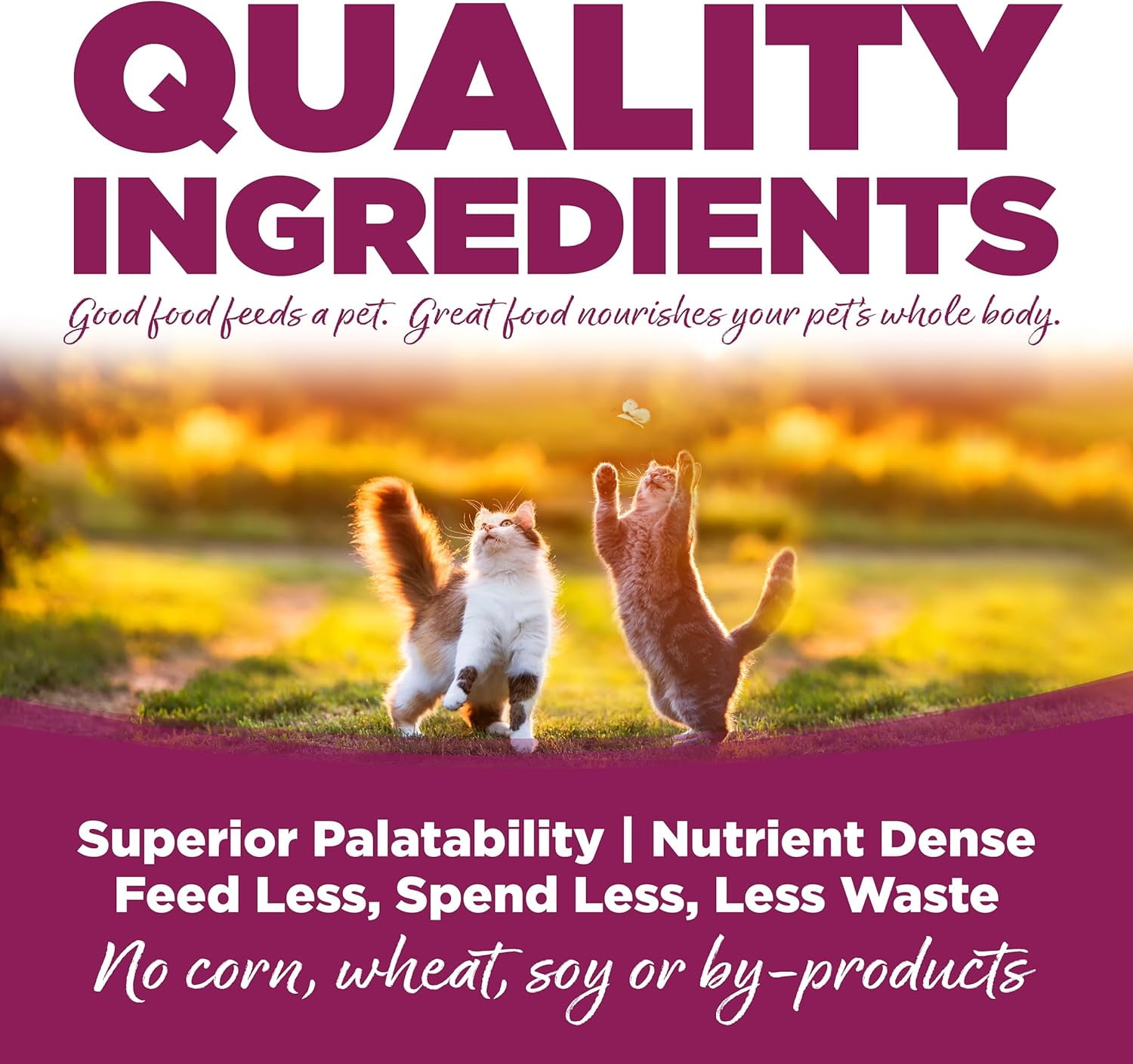 NutriSource Cat & Kitten All Life Stages Chicken & Rice Recipe Cat Food 12 lb