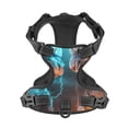 thumbnail image 4 of Lsque Blue Dragon And White Tiger Dog Harness, No-Pull Pet Harness with 2 Leash Clips, Adjustable Soft Padded Dog Vest with Easy Control Handle for Large Dogs-X-Large, 4 of 9