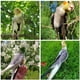 thumbnail image 5 of ZHAOCHENG Arnés para pájaros y loros para mascotas, arnés ajustable para pájaros voladores, cuerda de tracción con ala bonita para loros, juguete de entrenamiento al aire libre (XL), 5 of 5