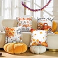 thumbnail image 6 of DaShan Fall Throw Pillow Covers 18x18 Set of 4,Thanksgiving Autumn Pumpkin Pillow Cases for Bedroom Sofa Couch, 6 of 6
