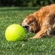 thumbnail image 2 of Pelota de tenis gigante de gran tamaño, pelota de tenis gigante para perros, juguete masticable grande para mascotas, 2 of 8