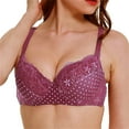 thumbnail image 1 of Women's Plus Size Sheer Mesh Lace Bra 34D-44E, 1 of 6