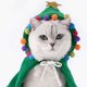 thumbnail image 4 of Ropa de Navidad para Perro Gato Sincero Vellón Verde, 4 of 5