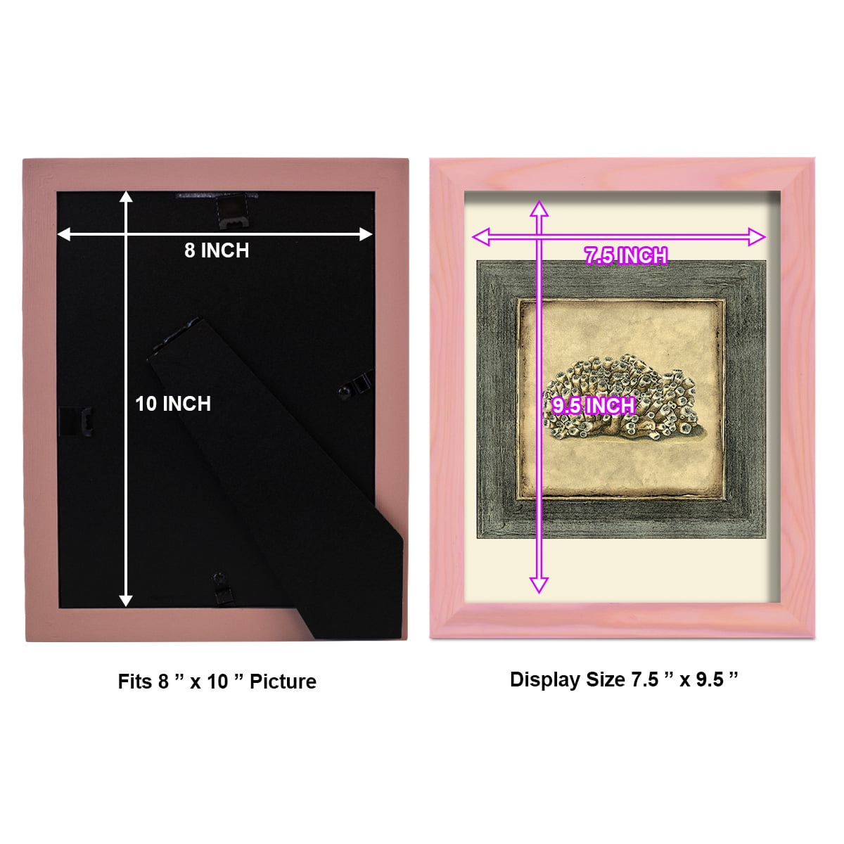 Mini Exotic Coral I (U) - Framed Print w/glass - Sunset Pink