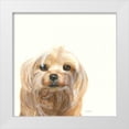 thumbnail image 1 of Ducklow, Patsy 15x15 White Modern Wood Framed Museum Art Print Titled - Little Scruff Gizmo, 1 of 4