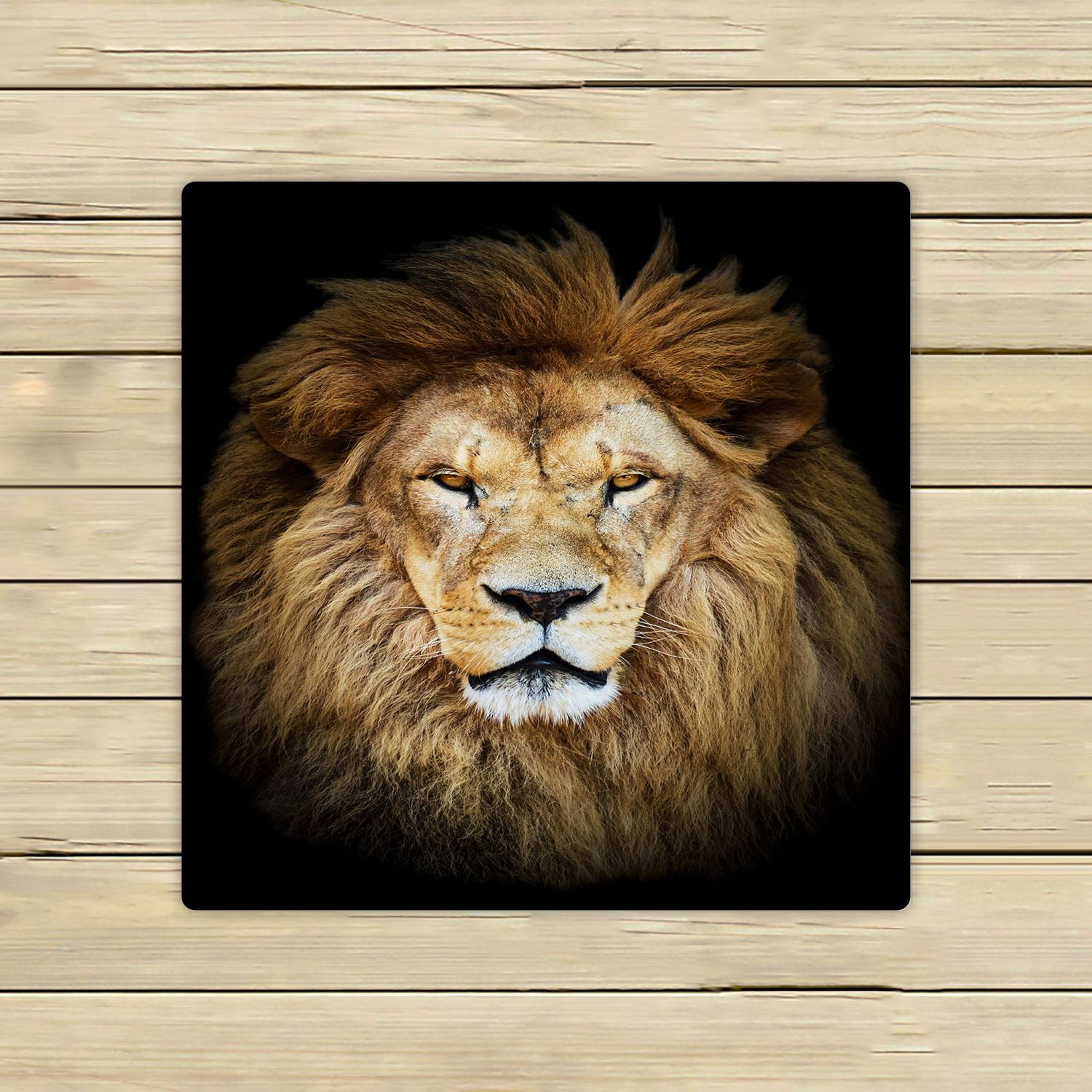 ABPHQTO Portrait Of Huge Beautiful Male African Lion ...