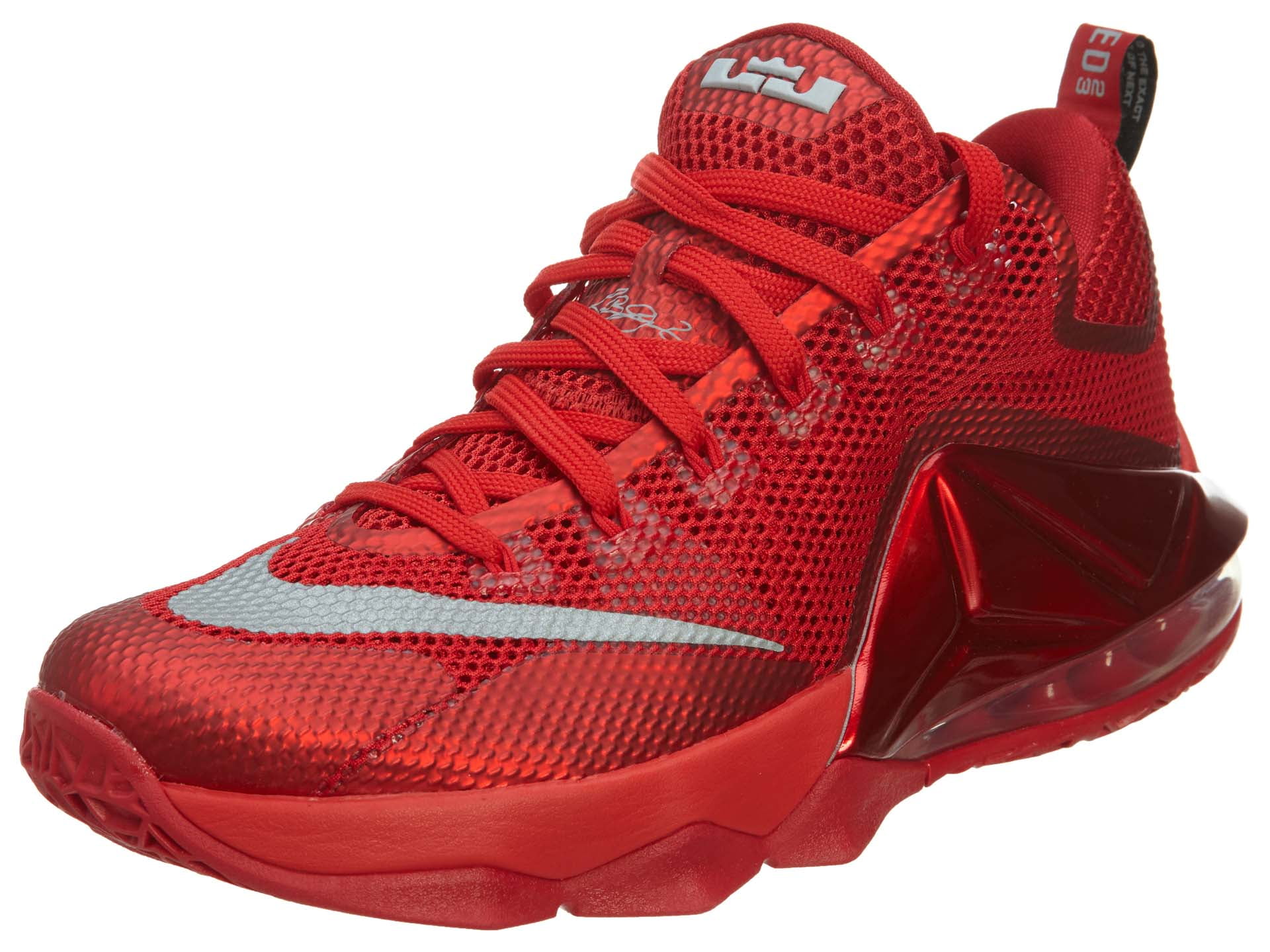 lebron xii low