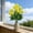 Yellow, variant on Uuiauoio Carnation Artificial Flowers, 7 Heads Fake Carnation Bouquets Silk Flowers Arrangements Artificial Cemetery Flowers for Grave Home Vase Wedding Party Centerpiece Decor (1 pc)