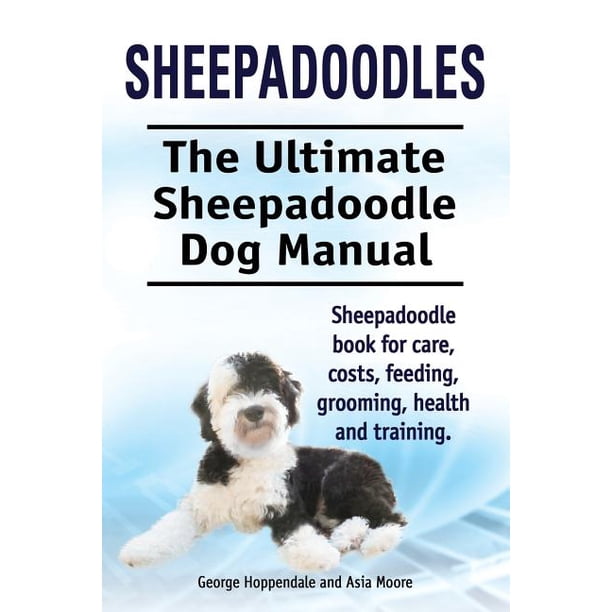How Smart Are Sheepadoodles