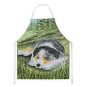 Carolines Treasures SS8283APRON Australian Shepherd Apron Large multicolor