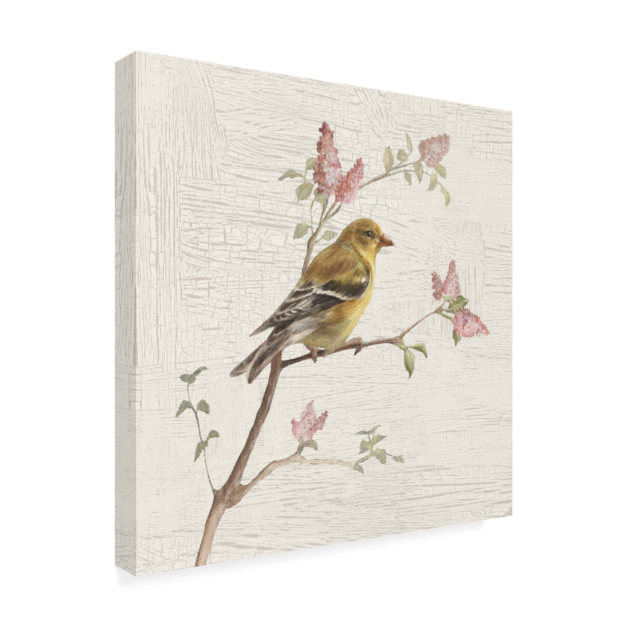 Trademark Fine Art 'Female Goldfinch Vintage Painting' Canvas Art by Danhui Nai