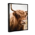 thumbnail image 4 of Stupell Industries Cattle Chewing Photography Animals & Insects Photography Black Floater Framed Art Print Wall Art, 25 x 31, 4 of 10