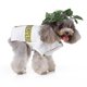 thumbnail image 2 of Ropa para mascotas La ropa divertida y creativa de Navidad y Halloween puede hacer que su mascota destaque en cualquier ocasión M, 2 of 4