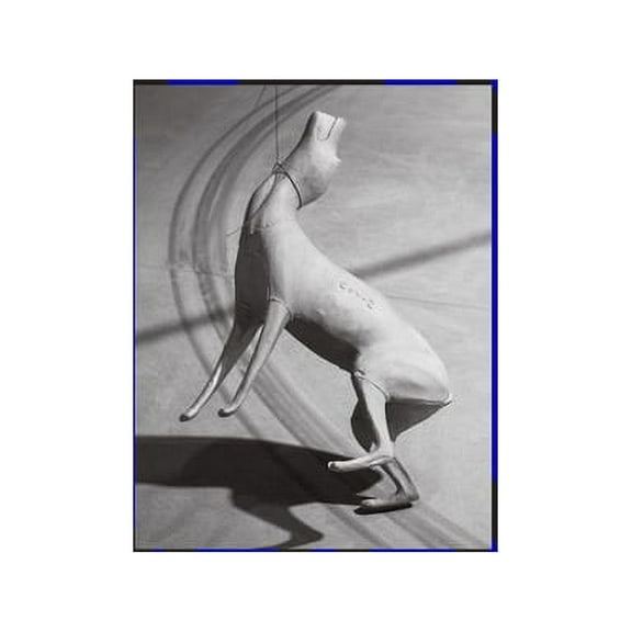 Bruce Nauman, (Hardcover)