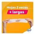 thumbnail image 4 of Papel higiénico Regio Rinde + 24 rollos con 132 hojas dobles c/u, 4 of 4