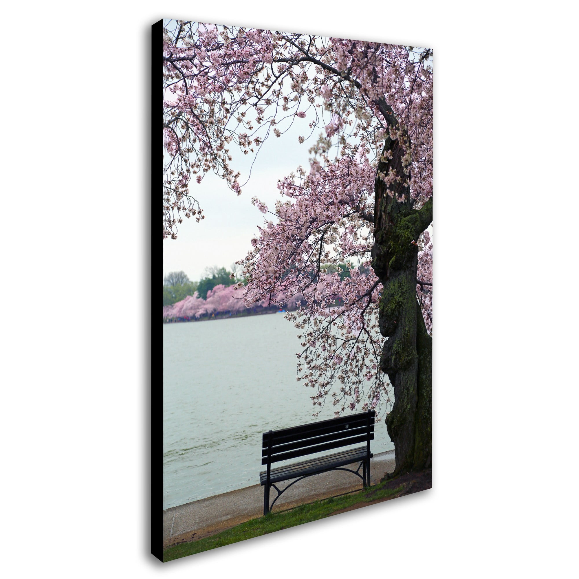 Trademark Fine Art "Tranquility" Canvas Art by CATeyes