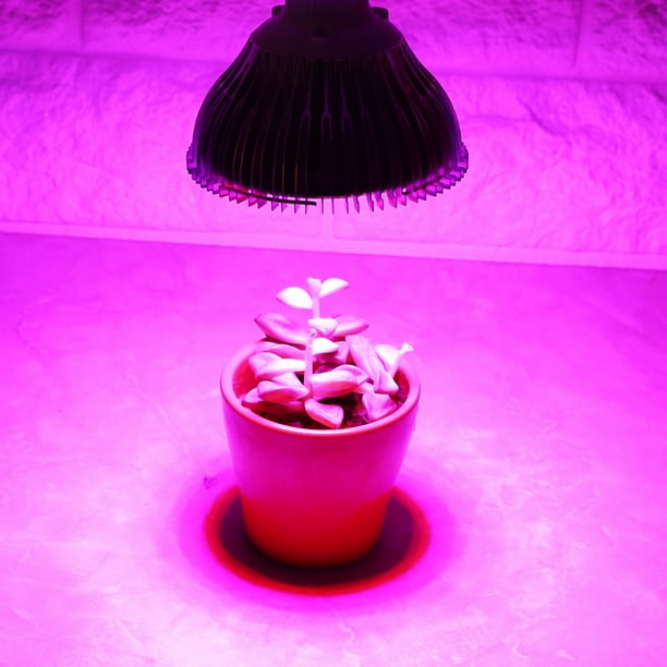 Grow Lamp 1Pc Plant Led Grow Light Bulb High Performing Full