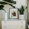 thumbnail image 1 of unbranded Planta Artificial Multicolor En Maceta Para Interior Y Escritorio, 1 of 6