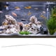 thumbnail image 4 of Juego de Cepillos de Filtro de Acuario Cepillo de Resorte de Limpieza de Tubería de Agua Flexible de Doble Extremo Profesional ANGGREK Otros, 4 of 8