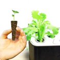 thumbnail image 5 of 50pcs Growth Plugs For Soilless Cultivation Strong Water Absorption Sowing Cubes For Water Cultivation, 5 of 5