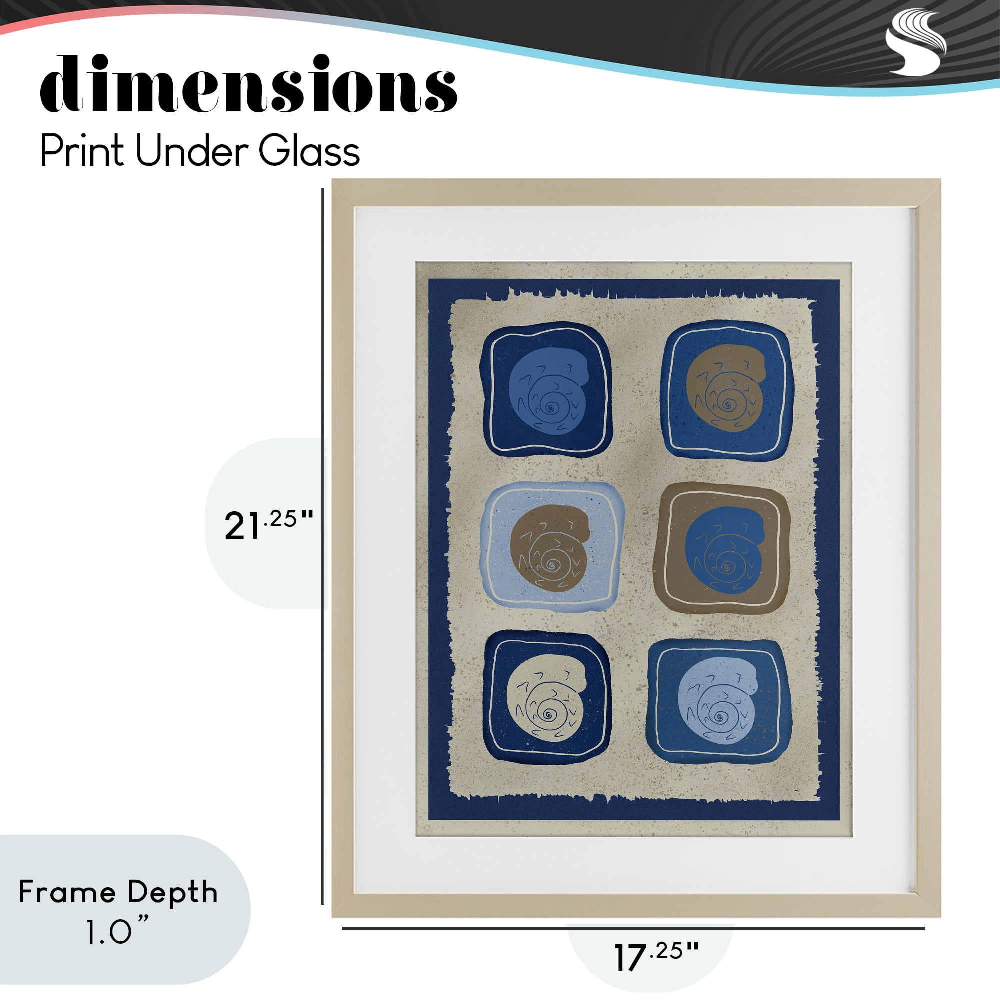 Stupell Industries Blue Blocked Nautilus Birch Framed Print Under Glass, design by Julia Frost