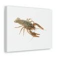 thumbnail image 2 of Cray Fish Hunting Cray Fish on Hunt Print Animal Wall Art Wildlife Canvas Prints Wall Art Ready to Hang Unframed, 2 of 18