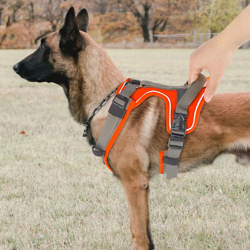 Didog No Pull Dog Harness Reflective Nylon Adjustable Pet Vest for Medium Large Dogs with Handle