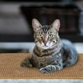 thumbnail image 5 of Large Cat Scratching Mat Natural Sisal Anti Slip and Durable for Protecting Furniture, 5 of 5