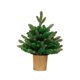 thumbnail image 5 of de Navidad de pequeño artificial, adornos de accesorios para fotos Decoraciones de Navidad en miniatura portátiles para estante de, 5 of 9