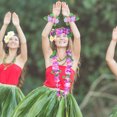 thumbnail image 4 of unbranded 4Jgo Guirnalda De Collar Y Decorativa Para Fiesta Hawaii Color Surtido, 4 of 6