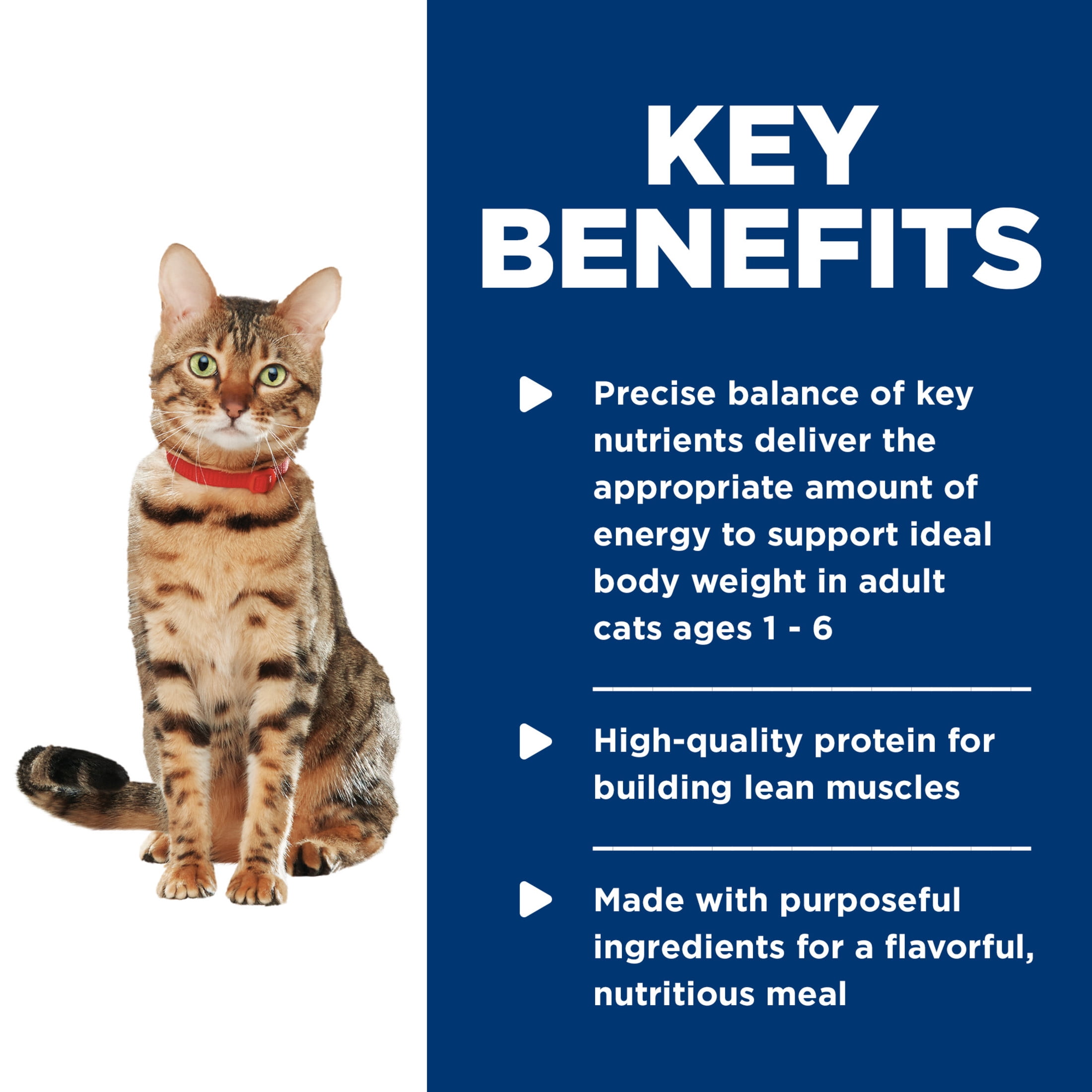 Hill's Science Diet Healthy Cuisine Roasted Chicken & Rice Medley Wet Cat Food, 2.8oz Can 24pk