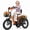 Orange, variant on ESKUTE T300 E Trike Electric Tricycle for Adults, 750W Brushless Motor 18MPH+ Fat Tire Folding Trike, Step-Thru 3 Wheel Electric Bicycle, Up to 55 Miles Black, UL2849