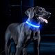 thumbnail image 4 of Muyoka Collar LED para perro, recargable, resistente al agua, para perros y gatos, collares para mascotas de seguridad nocturna brillante, hebilla de correa ajustable con 3 modos de iluminación Muyoka Hogar, 4 of 6