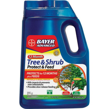 Bayer Advanced 701910A Dual Action Slow-Release Tree and Shrub Feed, 10 lb Bottle,