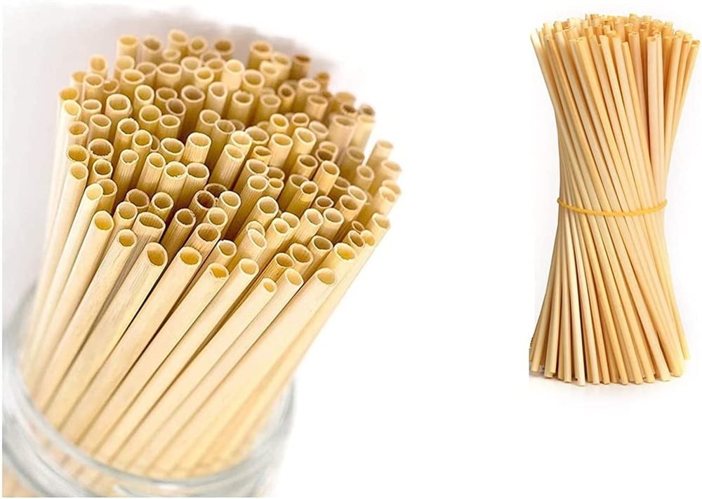 Casewin Biodegradable & Compostable Eco Friendly Wheat Straws Pack of