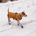 thumbnail image 3 of Botas para perros, zapatos impermeables para perros pequeños, medianos y grandes, para exteriores., 3 of 5