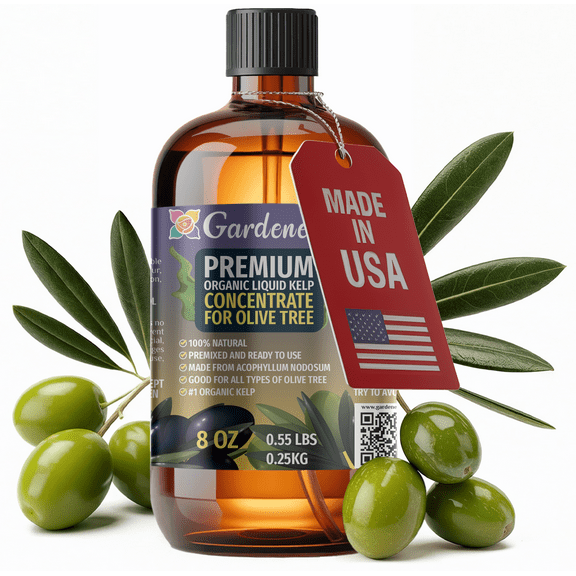 β GARDENERA Premium Organic Seaweed & Kelp Superfood for OLIVE TREE Plants - 8 oz - Liquid Kelp Fertilizer Concentrate (Makes 45 Gallons)