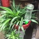 thumbnail image 4 of Cateissary 4/10/12 Uds. Sistema de riego automático por goteo, puntas de riego para plantas de jardín, Kits de riego de flores, bebederos automáticos Jardín y Patio 12 piezas Cateissary HA6271-03B, 4 of 6